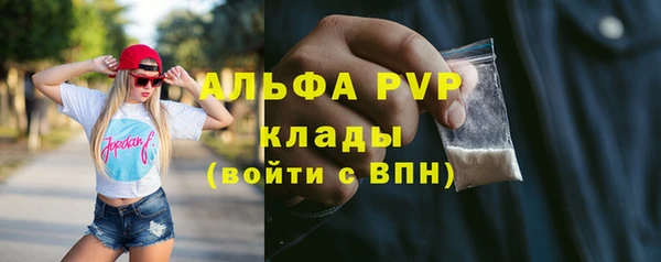 сатива Арсеньев