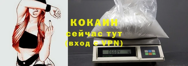 сатива Армянск