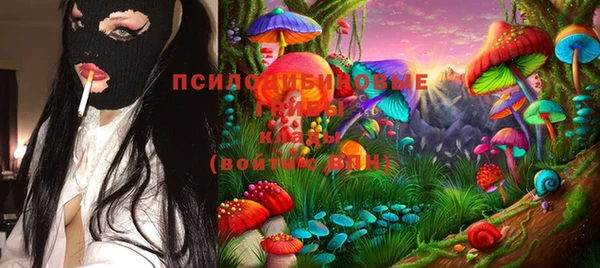 сатива Арсеньев