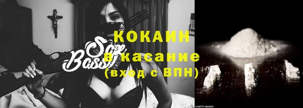 сатива Армянск