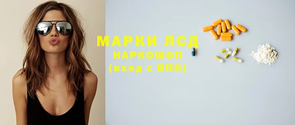 сатива Армянск
