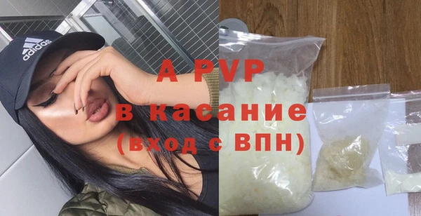 сатива Арсеньев