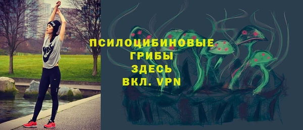 сатива Армянск
