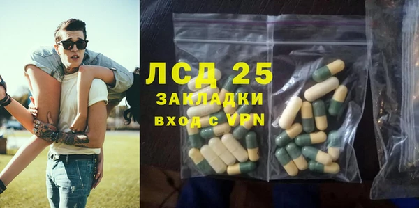 сатива Арсеньев