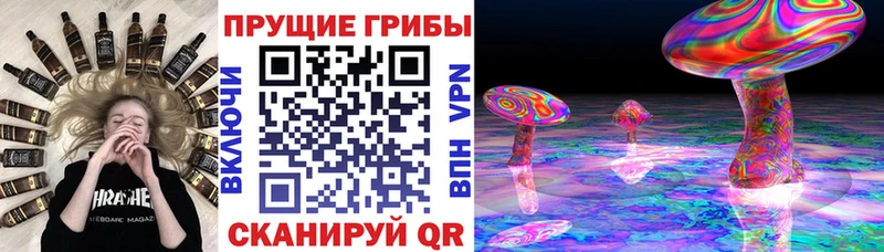 Купить  Шебекино  Галлюциногенные грибы Magic Shrooms 